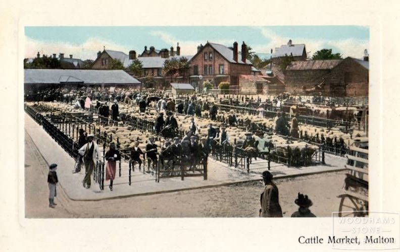 The Cattle Market c1914 (1)